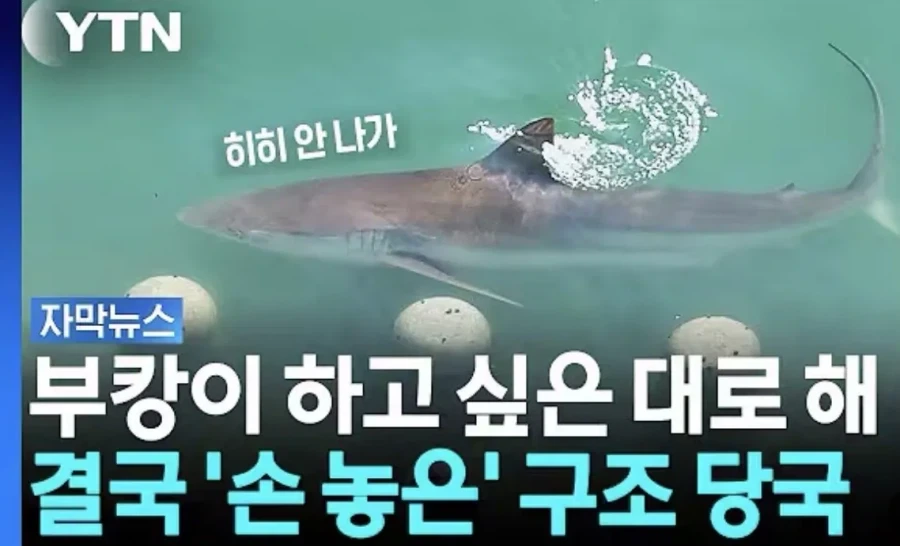 부캉이 아쿠아리움 개장.jpe_1.webp