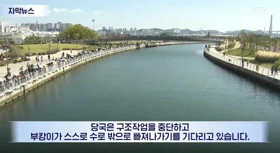 부캉이 아쿠아리움 개장.jpe_2.webp