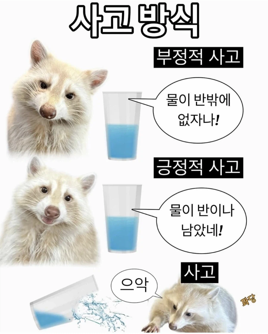 사고 방식 차이.jpg_1.webp