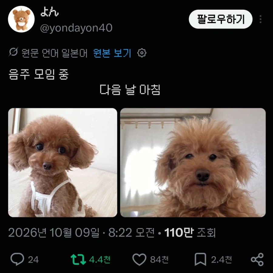 술모임 전후_1.webp