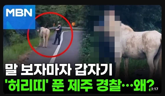 진짜 우리나라 언론사 제주 경찰수준_1.webp