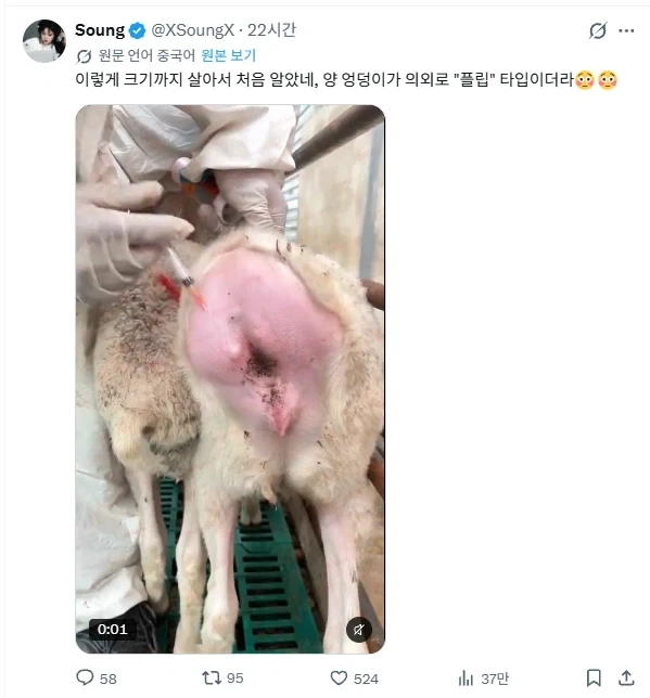 이렇게 클 때까지 처음 알았네_1.webp
