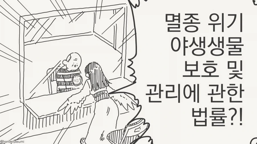 manga_76893339_7291_016.webp