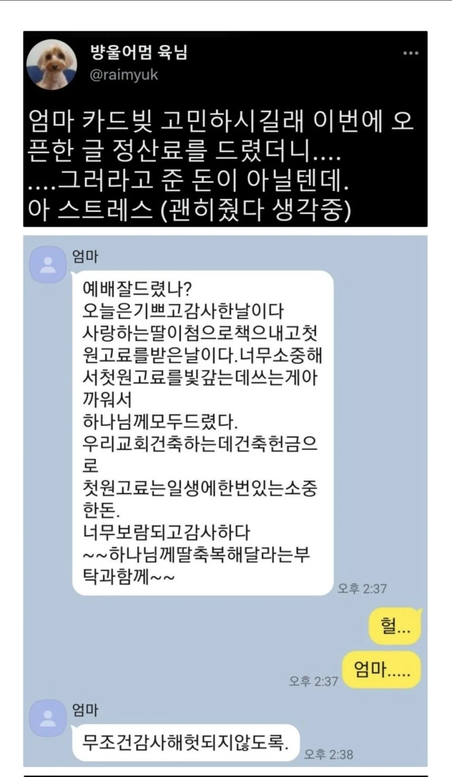 첫 원고료를 엄마에게 드린 효녀_2.webp