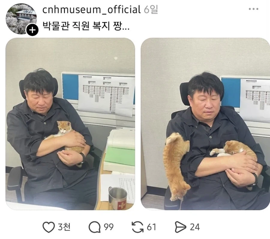 충남역사박물관 복지수준_1.webp