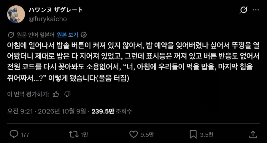 밥솥 전원이 꺼져있었는데 밥이 되어 있었다_1.webp