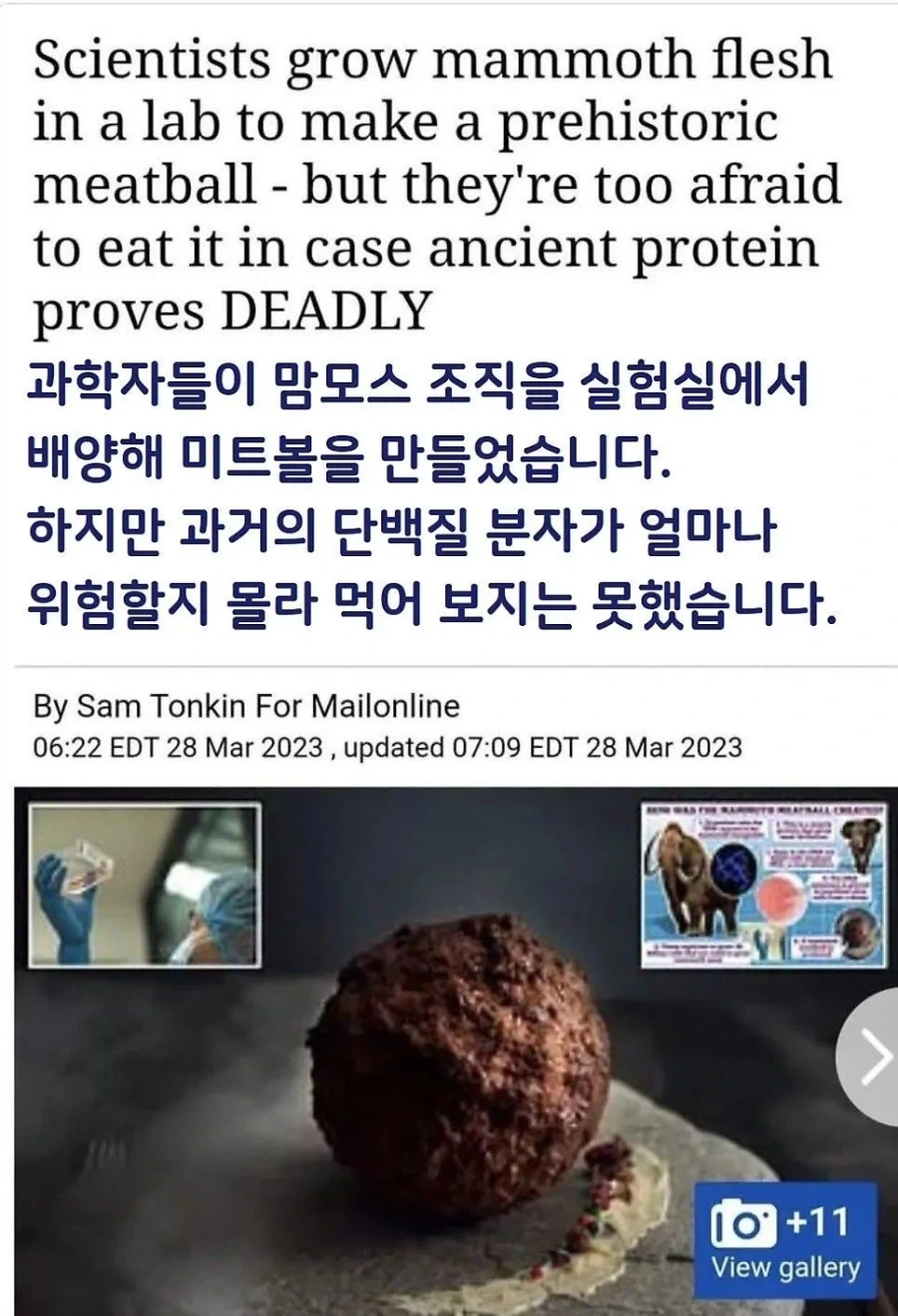 매머드 미트볼.jpg_1.webp
