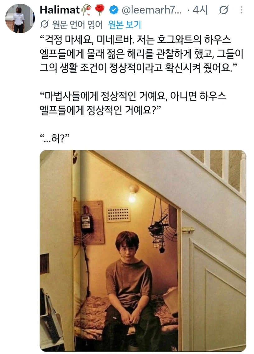 해리 포터의 가정에 학대는 없었다는 보고를 들었소_1.webp