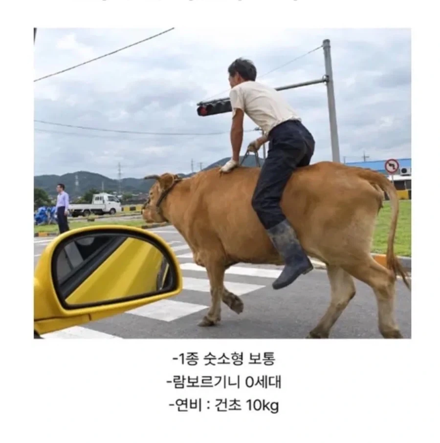 음주운전 중인 사람_1.webp