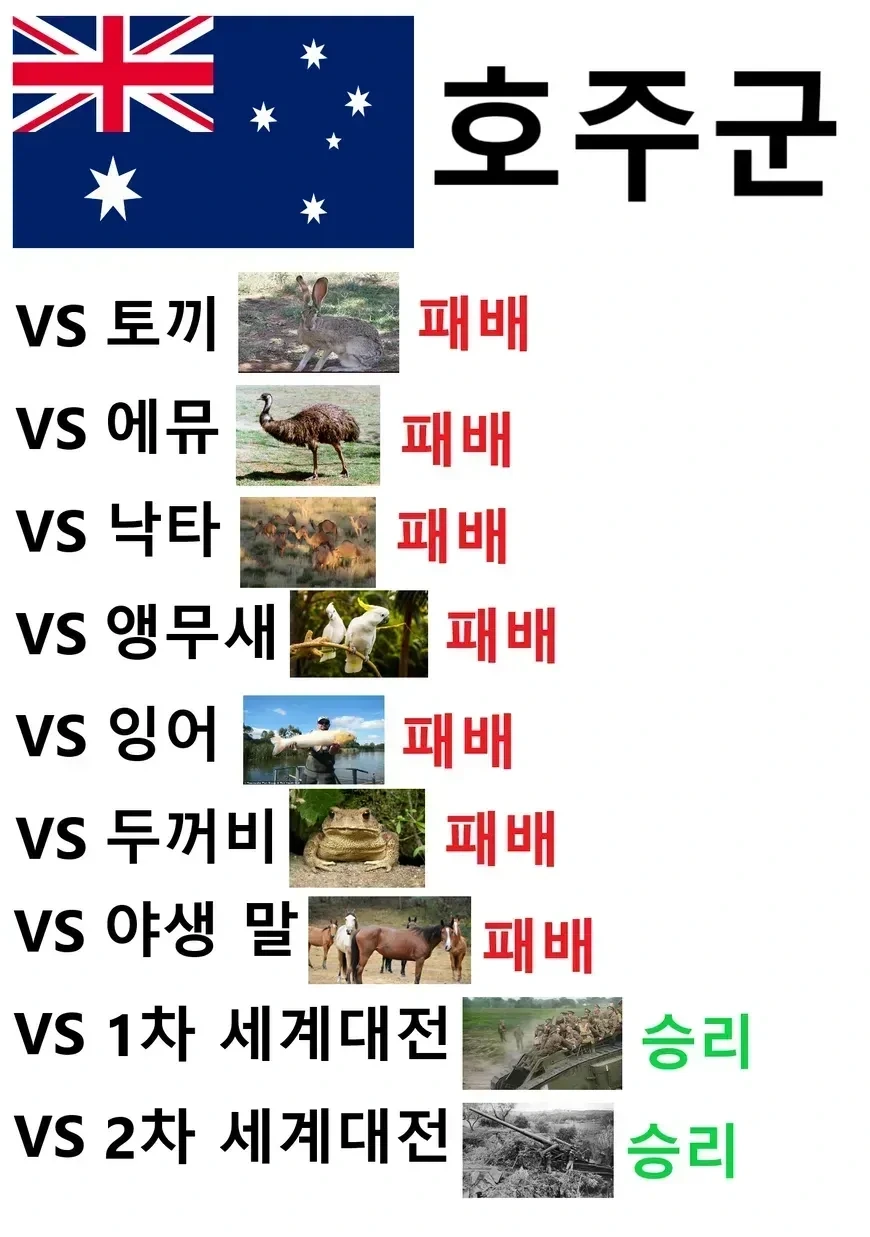 전적이 7패2승인 군대_1.webp