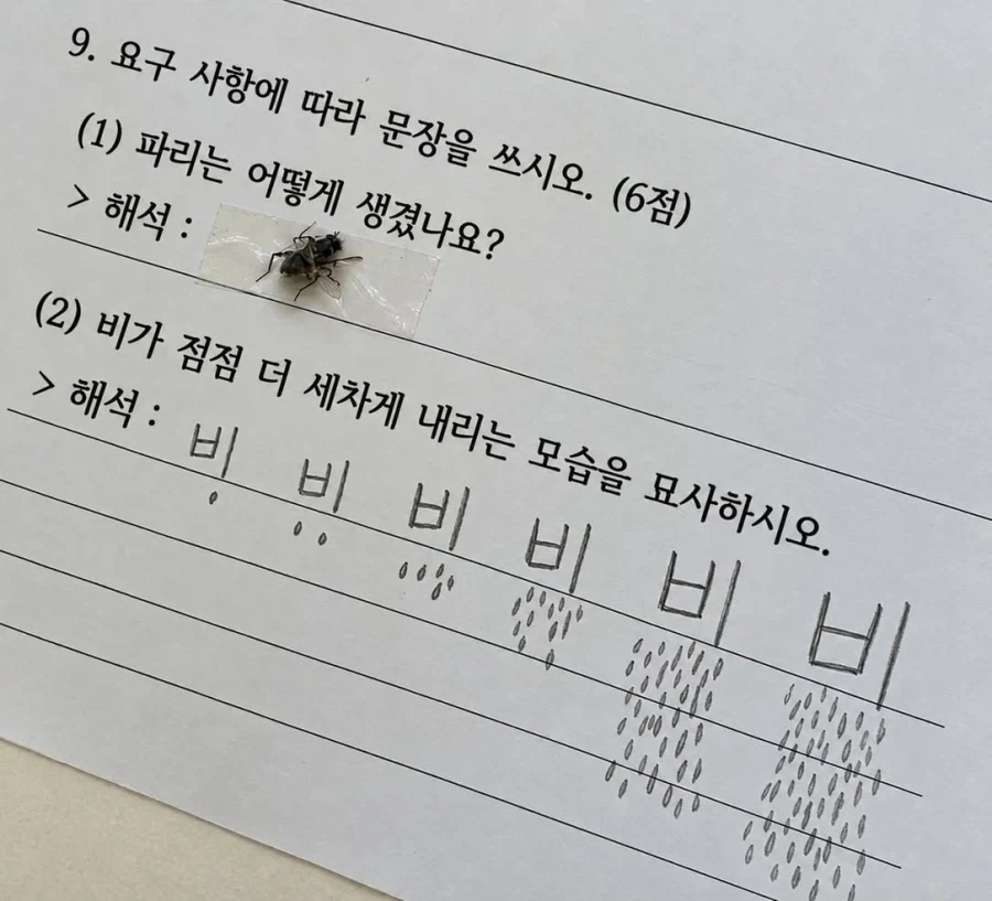 문제에 맞게 답을 가져옴_1.webp