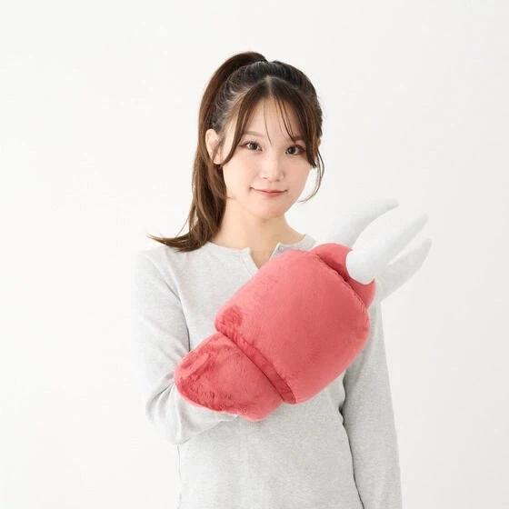 일본에서 곧 발매된다는 팔쿠션..._2.webp