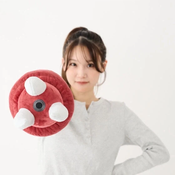 일본에서 곧 발매된다는 팔쿠션..._3.webp