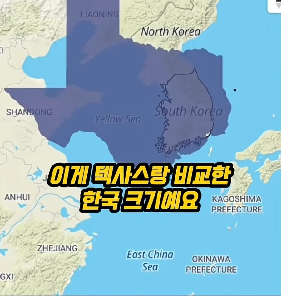 Kpop아이돌 이해 못하는 미국인_1.webp