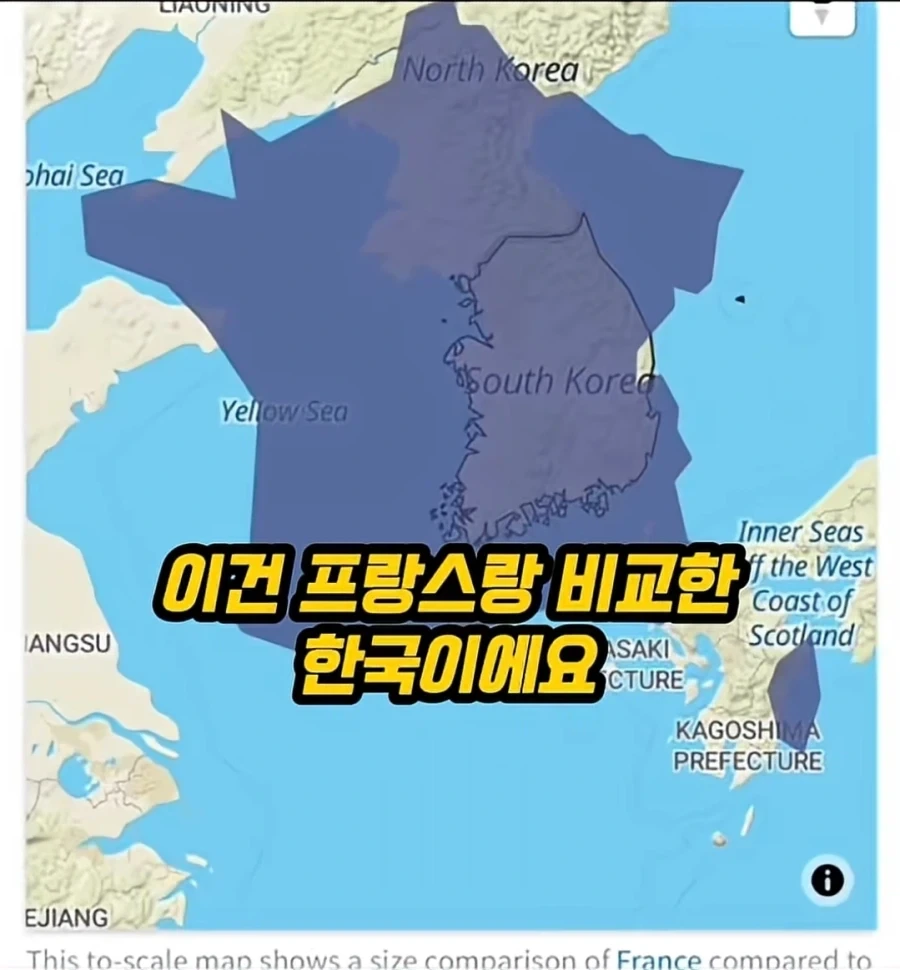 Kpop아이돌 이해 못하는 미국인_2.webp