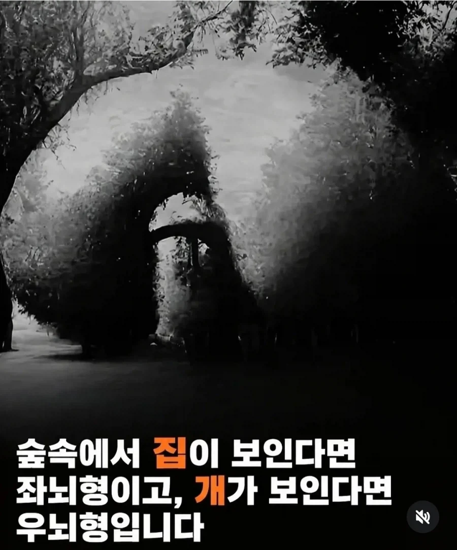 난 좌뇌형도 우뇌형도 아니구나_1.webp