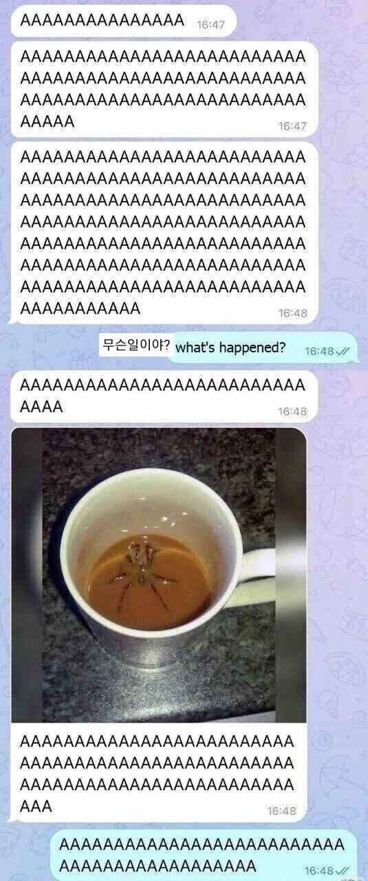 AAAAAAAAAAAAAAAAAAAAAAAAAAAAAAAAAAAA_1.webp