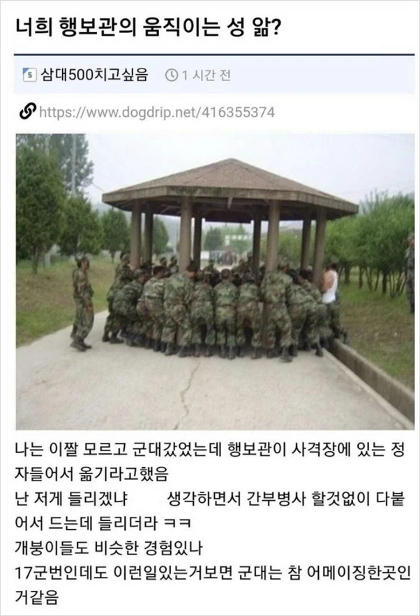 존나 ai 사진 같지만 실제로 있었던 장면_1.webp