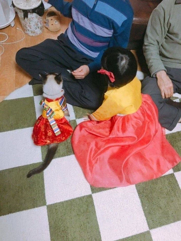 꼬까옷 입고 용돈 받음.jpg_1.webp