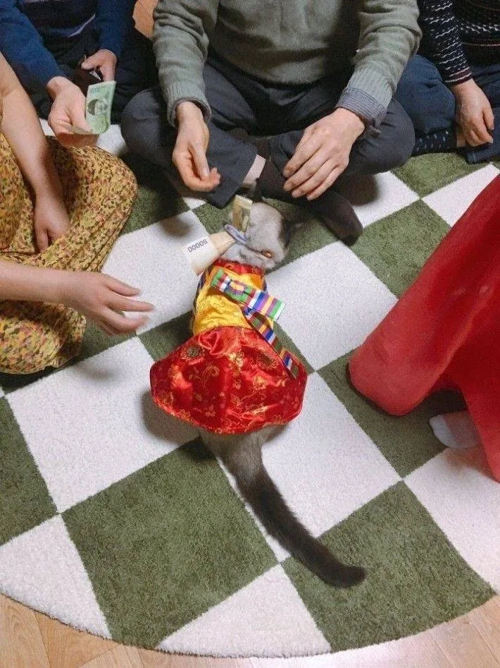 꼬까옷 입고 용돈 받음.jpg_2.webp