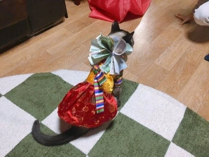 꼬까옷 입고 용돈 받음.jpg_3.webp