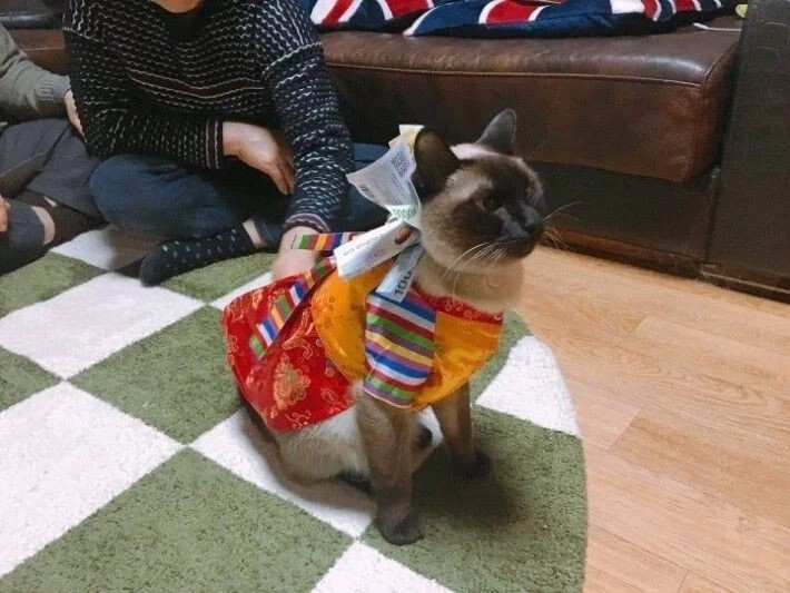 꼬까옷 입고 용돈 받음.jpg_4.webp
