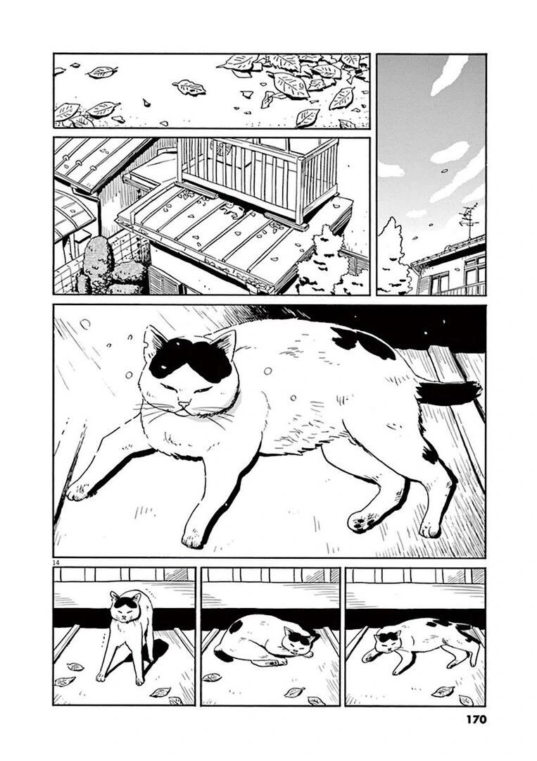 manga_76888381_995e_014.webp