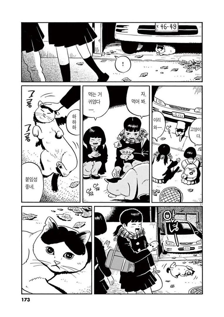 manga_76888381_995e_017.webp