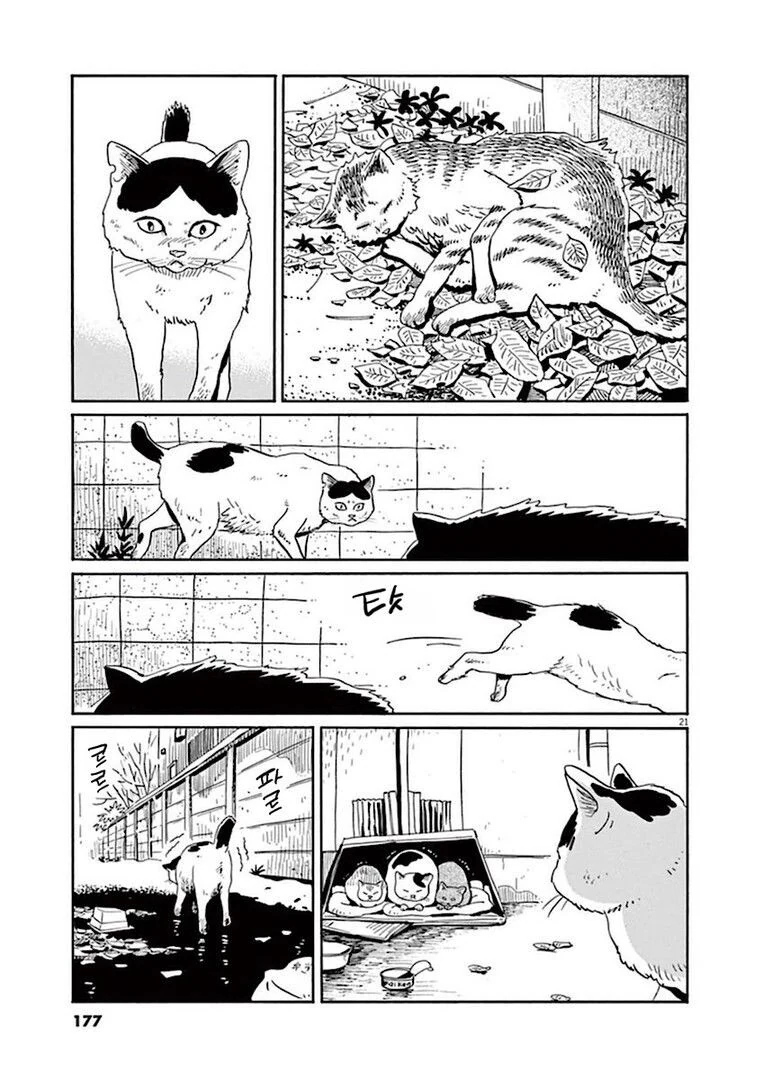 manga_76888381_995e_021.webp