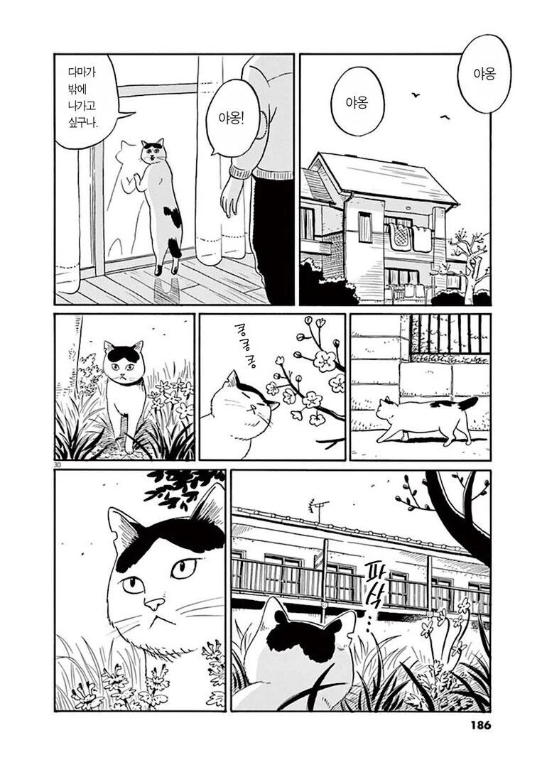 manga_76888381_995e_030.webp