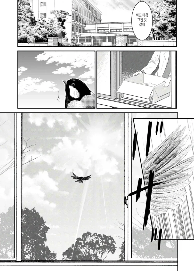 manga_76904759_ed16_017.webp