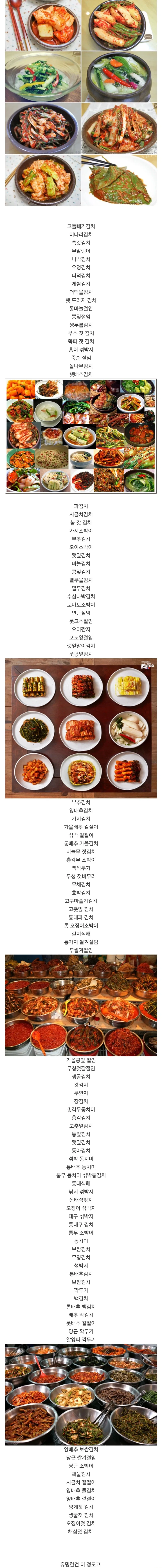 유명한 김치 목록들.jpg_1.webp