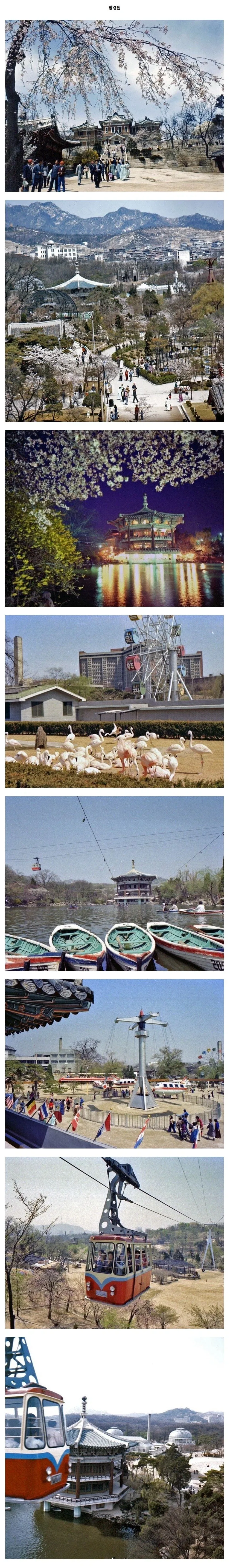1979년 창경원.jpg_1.webp