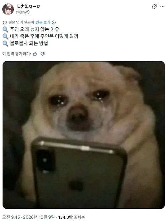댕댕이가 울면서 검색한 검색기록 유출됨_1.webp