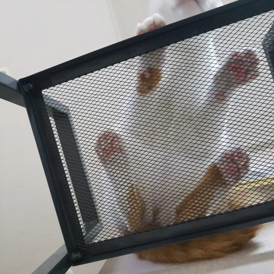 메탈 선반 후기.jpg_4.jpg