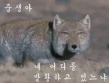 아카라이브 거기 불법 채널도 대놓고 있는 곳 아님? ㄷㄷ_2.webp