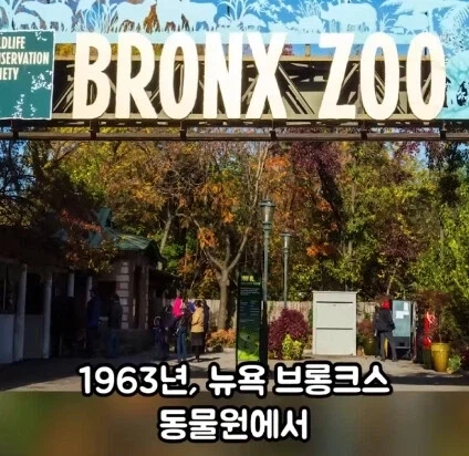 세상에서 가장 위험한 동물.jpg_1.webp