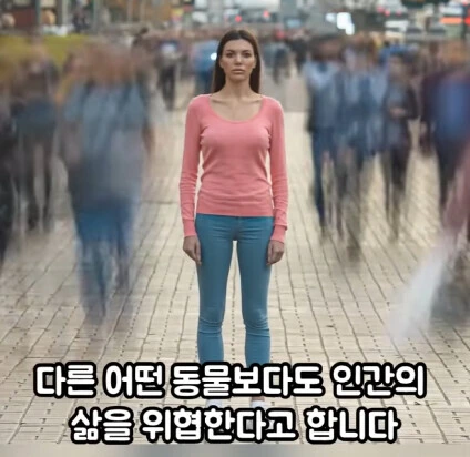 세상에서 가장 위험한 동물_4.jpg