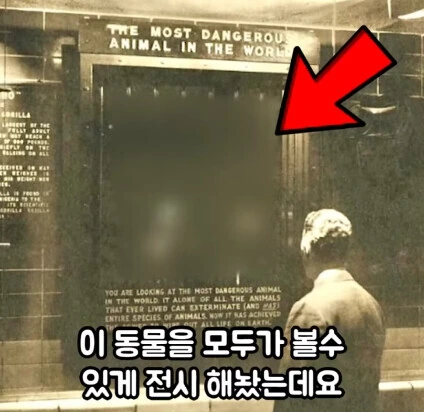 세상에서 가장 위험한 동물_5.jpg