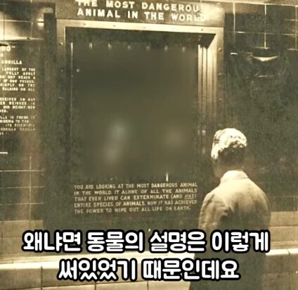 세상에서 가장 위험한 동물_8.jpg