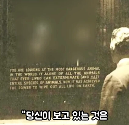 세상에서 가장 위험한 동물_9.jpg