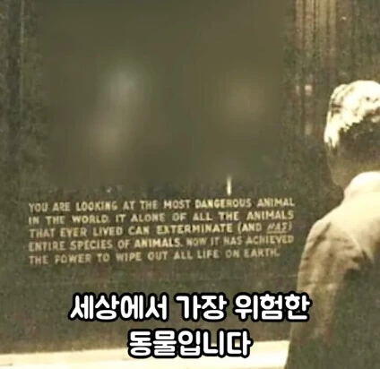 세상에서 가장 위험한 동물_10.jpg