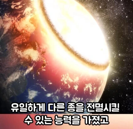 세상에서 가장 위험한 동물_11.jpg