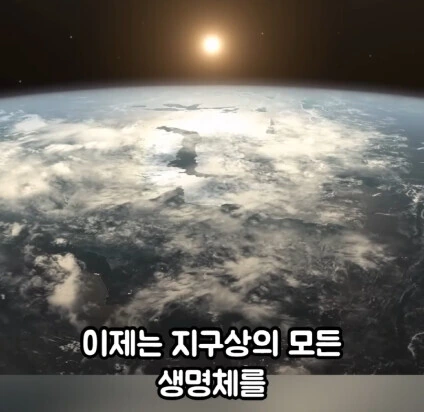세상에서 가장 위험한 동물_12.jpg