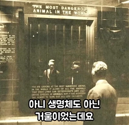 세상에서 가장 위험한 동물_15.jpg