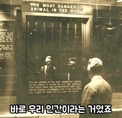 세상에서 가장 위험한 동물_16.jpg