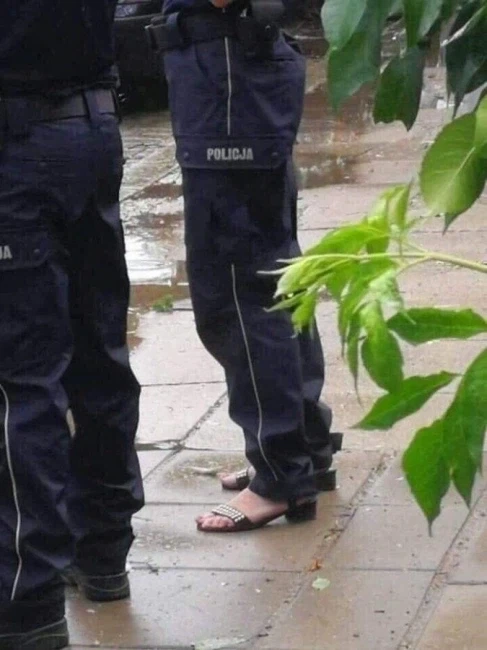 저주받은 사진 모음_10.webp
