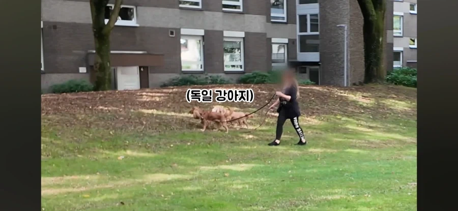 독일사람처럼 보이고 싶은 독일인_6.webp