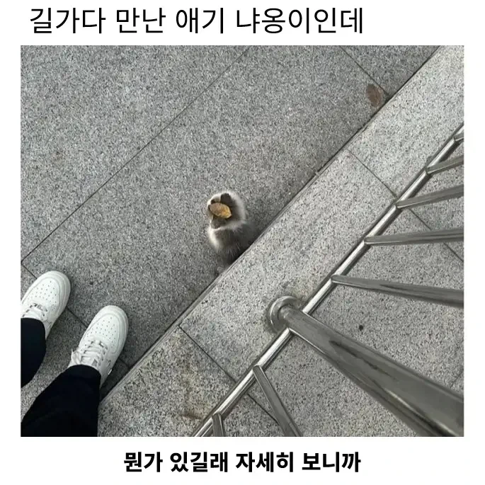 일본에서 성행한다는 분양사기_1.webp