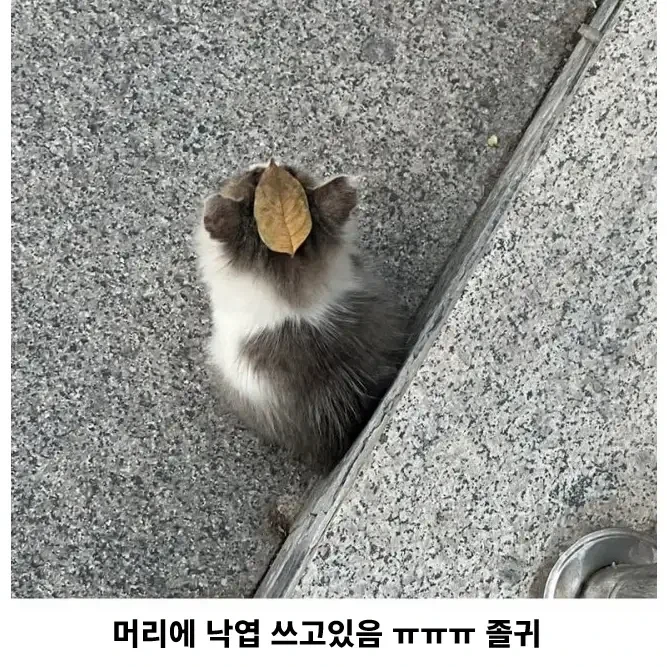 일본에서 성행한다는 분양사기_2.webp